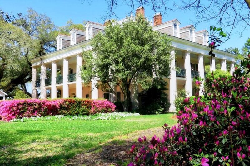 New Orleans: Swamp Boat Ride and Historic Plantation Tour - Age Requirements