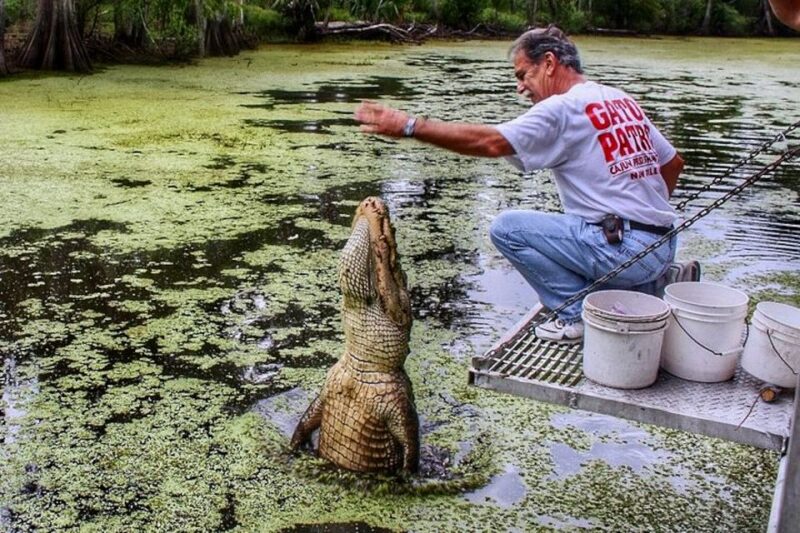 New Orleans: Swamp Boat Ride and Historic Plantation Tour - Accessibility