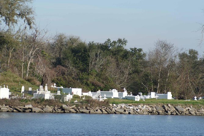 New Orleans Swamp Tour Boat Adventure - Wildlife Sighting Opportunities