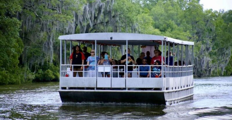 New Orleans: Swamp Tour on Covered Pontoon Boat - Tour Features