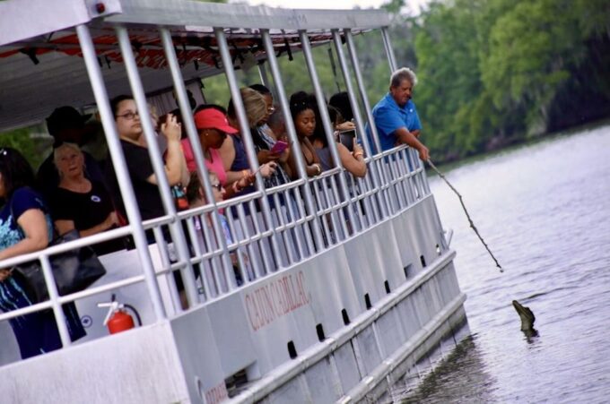 New Orleans: Swamp Tour on Covered Pontoon Boat - Customer Feedback