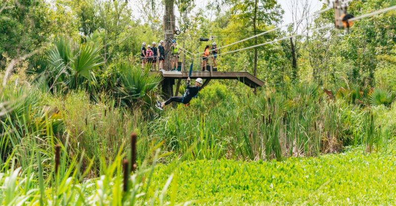 New Orleans: Swamp Zipline Tour - Activity Highlights