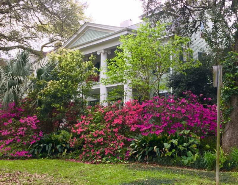 New Orleans: Traditional City and Estate Tour - Customer Feedback and Important Notes