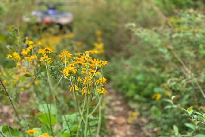 New River Gorge ATV Adventure Tour - Included in the Tour