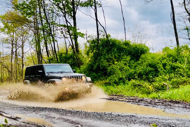 New River Gorge Jeep Tour (Half Day) - Accessibility and Participation