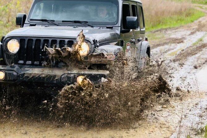 New River Gorge Jeep Tour (Half Day) - Highlights From Reviews