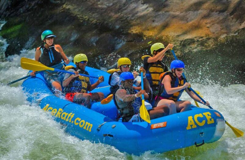 New River Gorge Whitewater Rafting - Lower New Full Day - Rafting Experience