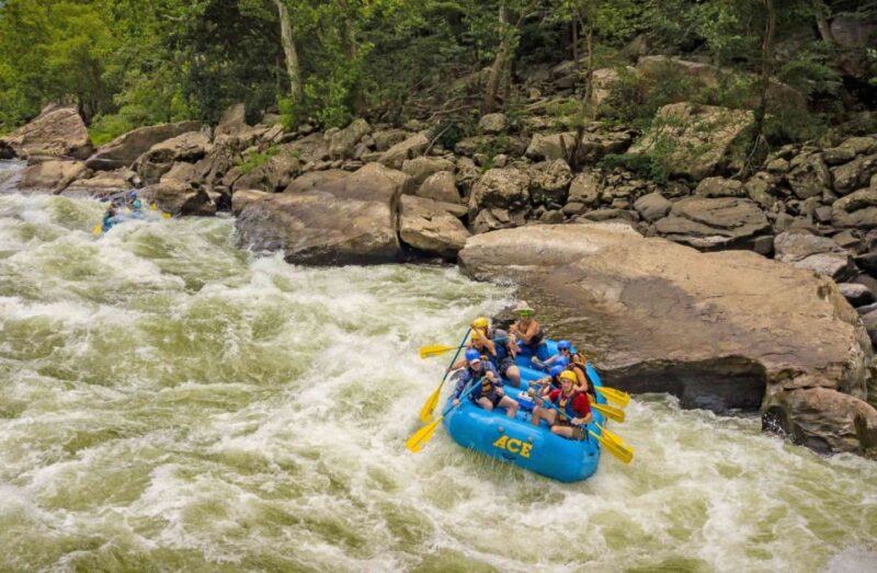 New River Gorge Whitewater Rafting - Lower New Half Day - Included Services