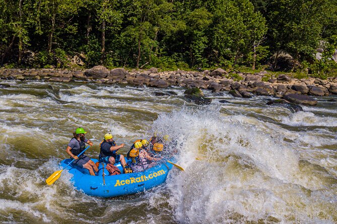 New River Gorge Whitewater Rafting, WV - Lower New Full Day - Inclusions