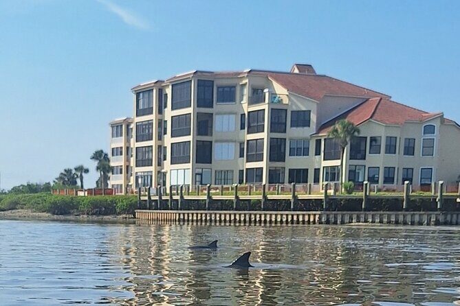 New Smyrna Mangrove Paddle & Mimosa Tour - A Detailed Look at the Tour Experience