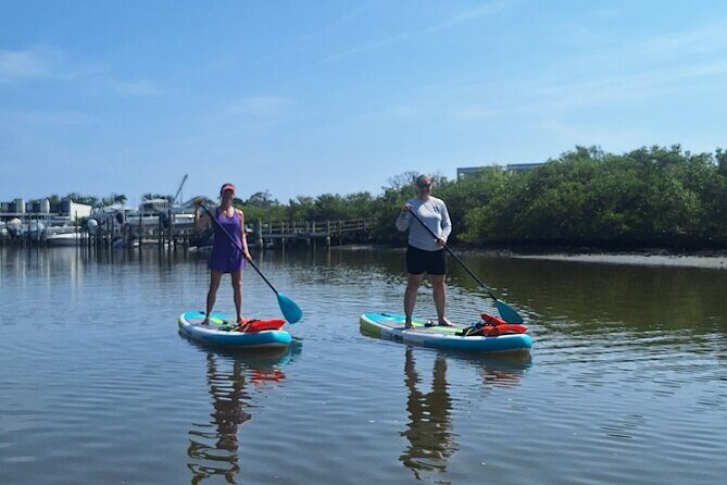 New Smyrna Mangrove Paddle & Mimosa Tour - Why Choose This Tour?