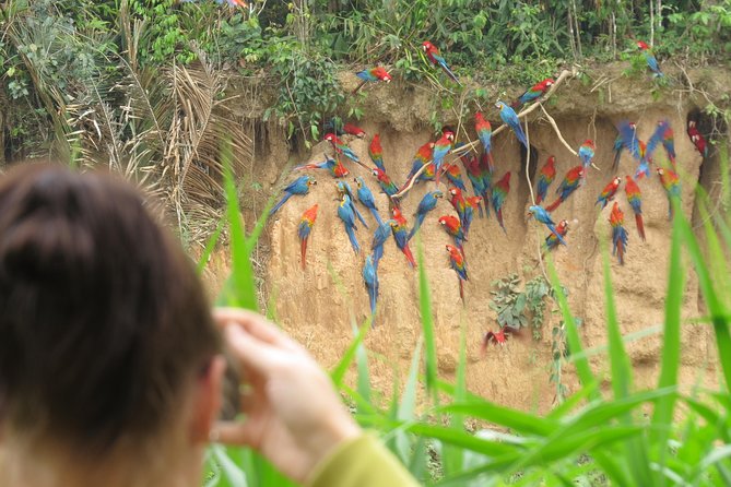 New Tambopata All In One - Key Points