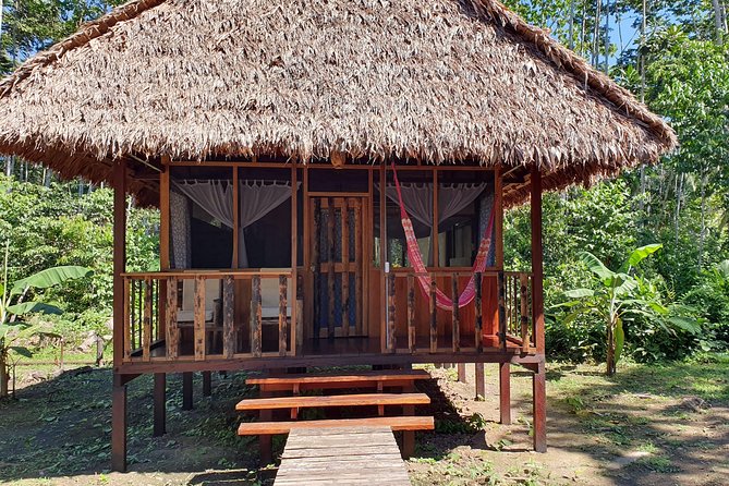 New Tambopata All In One - Wildlife and Activities