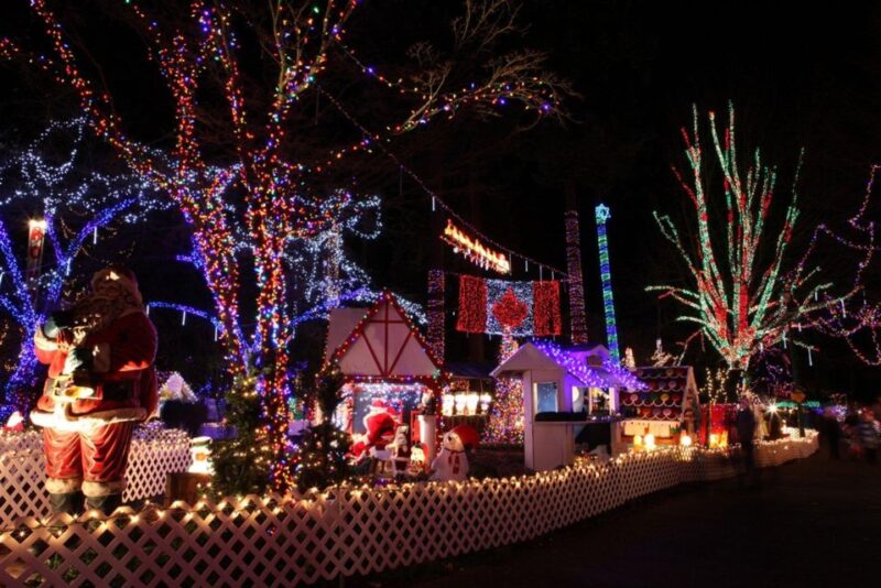 New Year Attraction Vancouver Highlight Tour - Tour Overview