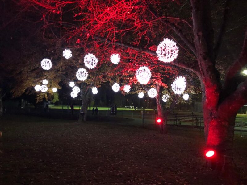New Year Attraction Vancouver Highlight Tour - Additional Inclusions