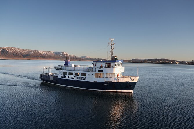 New Years Fireworks by Boat From Reykjavik - Mixed Traveler Experiences