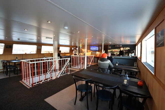 New Years Fireworks by Boat From Reykjavik - Fireworks Countdown and Views