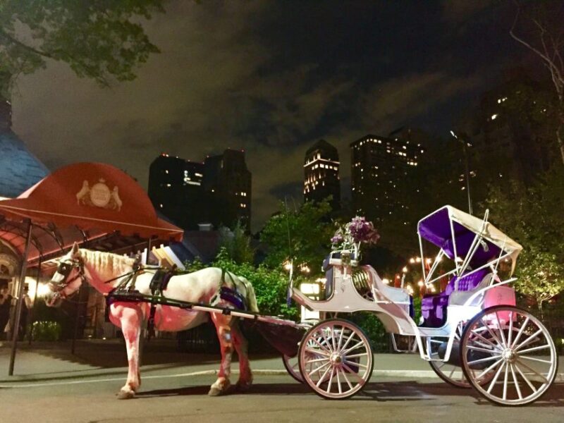New York: Carriage Ride in Central Park - Ride Details