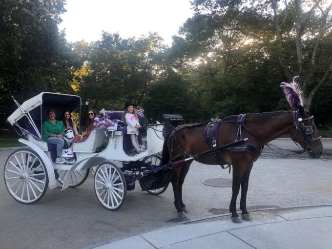 New York: Carriage Ride in Central Park - Exploring the Park