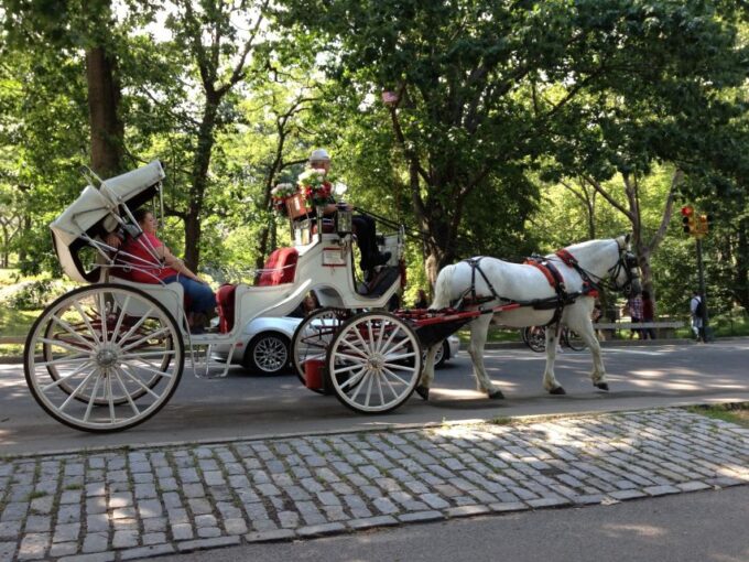 New York: Carriage Ride in Central Park - Romantic Transportation