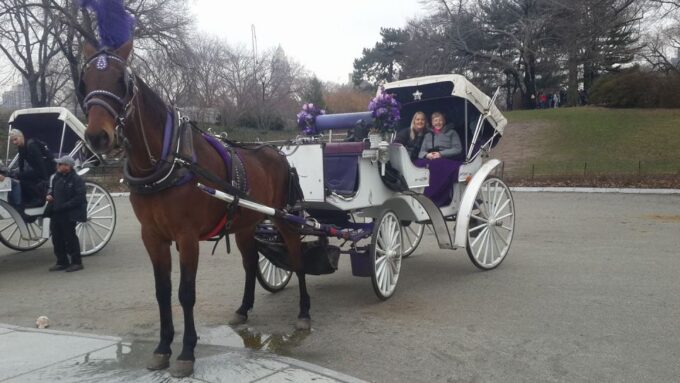 New York: Carriage Ride in Central Park - Highlights Along the Way