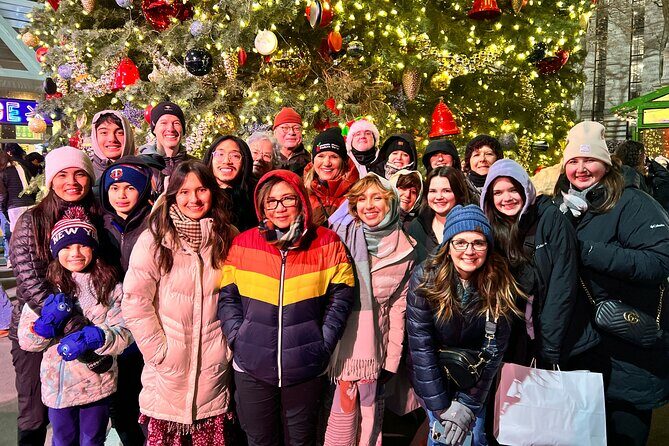 New York Christmas Holiday Lights Walking Tour - Who Will Love This Tour?
