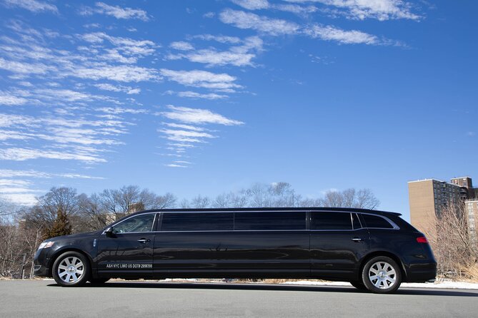 New York City Airport Arrival Transfer by Limo LGA JFK EWR - Amenities and Features