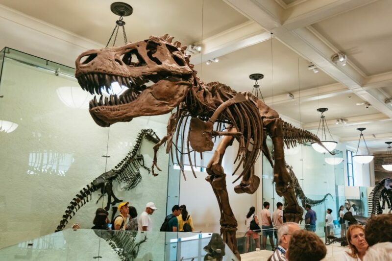 New York City: American Museum of Natural History Ticket - A Balanced Look at the Experience
