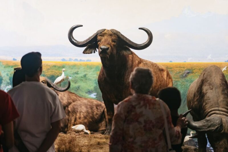New York City: American Museum of Natural History Ticket - Special Exhibitions