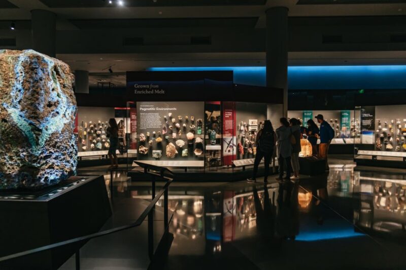 New York City: American Museum of Natural History Ticket - Visitor Experience and Amenities