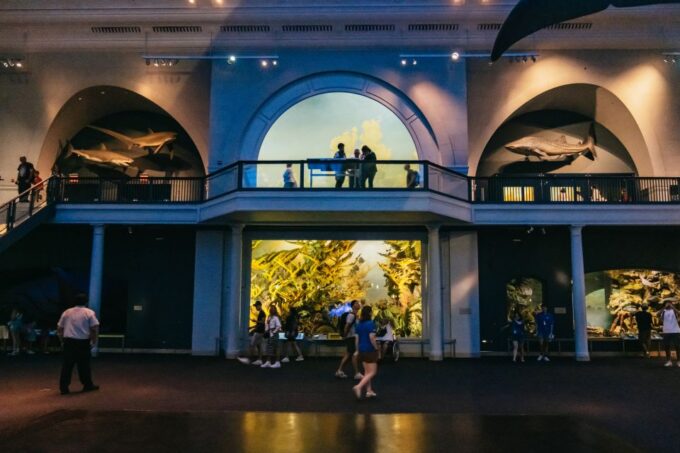 New York City: American Museum of Natural History Ticket - Accessibility and Accommodations