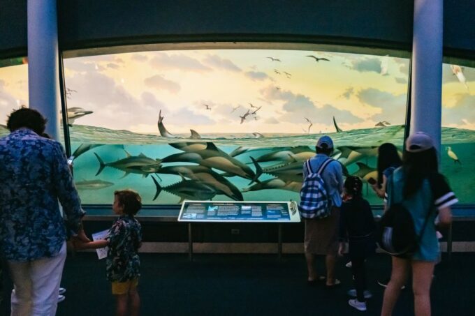 New York City: American Museum of Natural History Ticket - Customer Reviews and Ratings