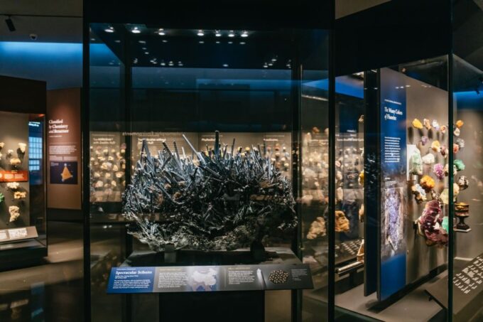 New York City: American Museum of Natural History Ticket - Visitor Information and Policies