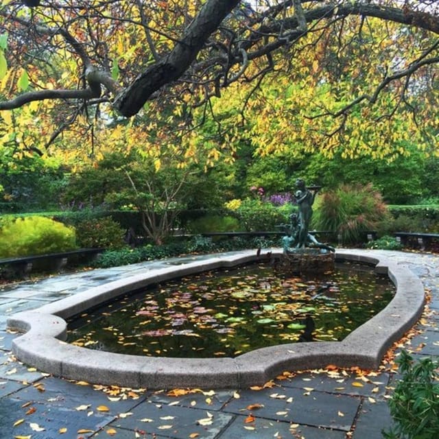 New York City : Central Park Walking Tour With A Guide - Taking in Natural Beauty