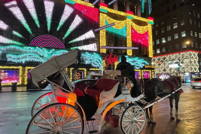 New York City Christmas Lights Private Horse Carriage Ride - Details of the Private Tour