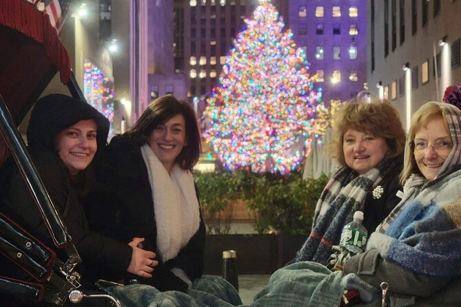 New York City Christmas Lights Private Horse Carriage Ride - Pickup and Drop-off Logistics