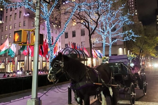 New York City Christmas Lights Private Horse Carriage Ride - Capacity and Inclusions