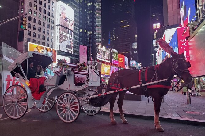 New York City Christmas Lights Private Horse Carriage Ride - Policies and Accessibility