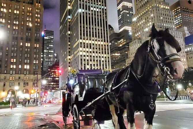 New York City Christmas Lights Private Horse Carriage Ride - Additional Considerations