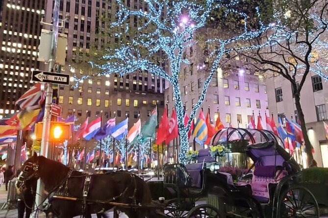 New York City Christmas Lights Private Horse Carriage Ride - Highlights of the Tour