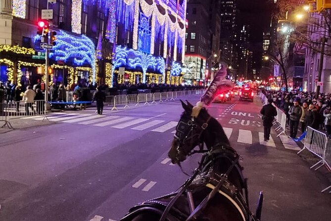 New York City Christmas Lights Private Horse Carriage Ride - Romantic and Atmospheric Ride