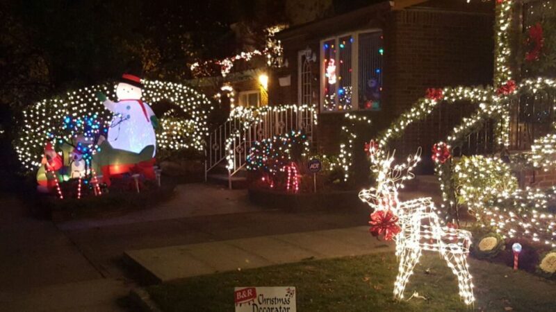 New York City: Dyker Heights Christmas Lights Tour - Transportation and Accessibility