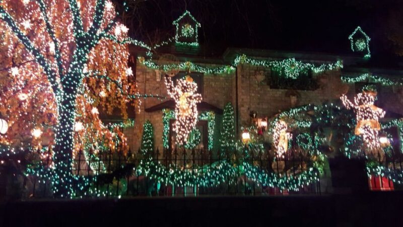 New York City: Dyker Heights Christmas Lights Tour - Customer Feedback and Ratings