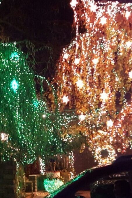 New York City: Dyker Heights Christmas Lights Tour - Exploring Dyker Heights Decor