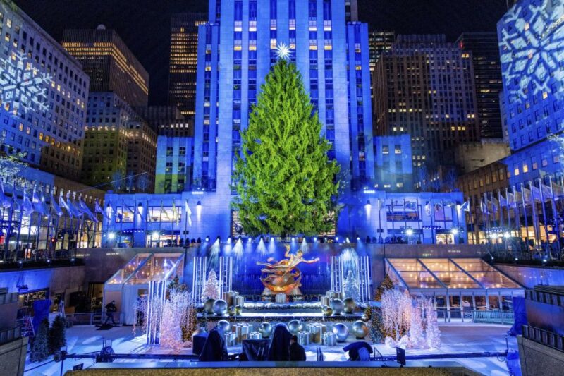 New York City: Guided Christmas Lights Private Pedicab Tour - Tour Highlights