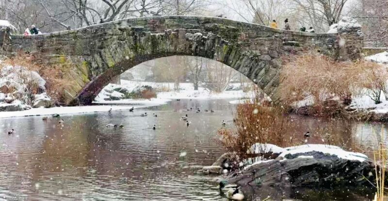New York City: Home Alone 2 and Elf Tour in Central Park - Highlights and Locations