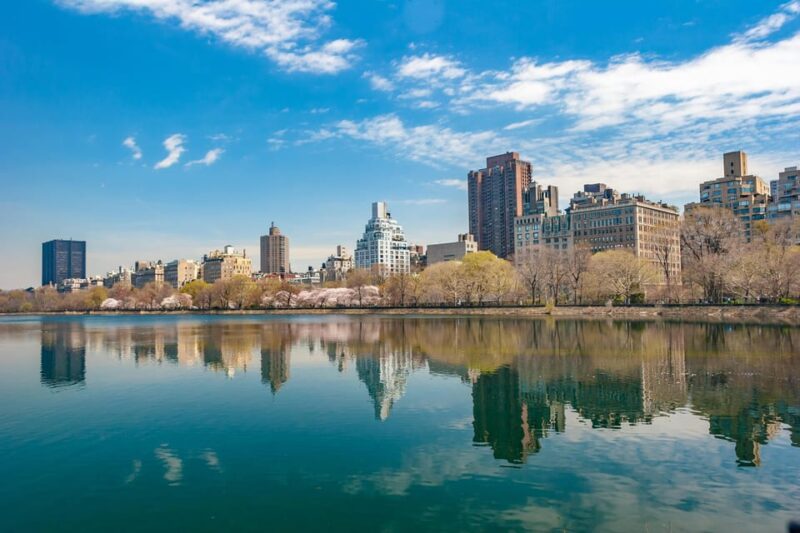 New York City Minivan Tour - Pricing and Booking