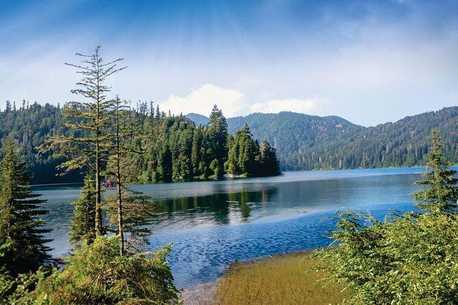 New York City Private Night Tour With Driver-Guide - Key Points