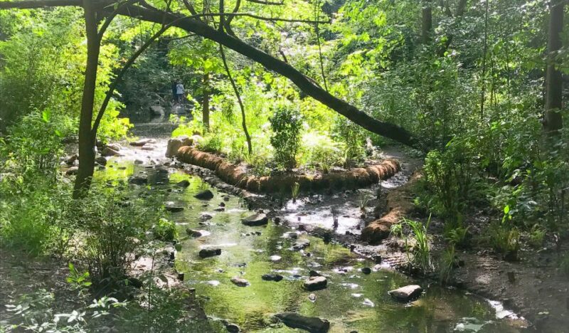 New York City: Secret Places of Central Park Walking Tour - Tour Guide and Experience