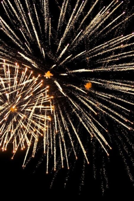 New York City Skyline & 4th of July Fireworks - Cancellation Policy